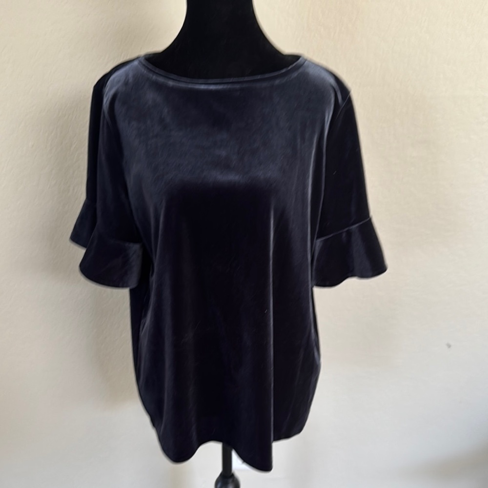 Ann Taylor Midnight Velvet Blouse